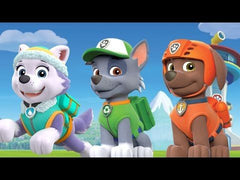 PAW Patrol: Animal Adventures [DVD] DVDs & Blu-Rays Elevation Pictures