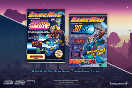 20XX/30XX [Nintendo Switch] Nintendo Switch Video Game FanGamer