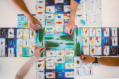 Finspan - A Wingspan Game [Board Game 1 - 5 Players] Board Game Stonemaier Games