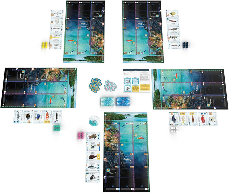 Finspan - A Wingspan Game [Board Game 1 - 5 Players] Board Game Stonemaier Games