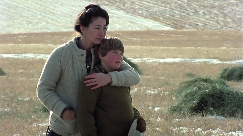 A Wind at My Back Christmas [DVD] DVDs & Blu-Rays Sullivan Entertainment