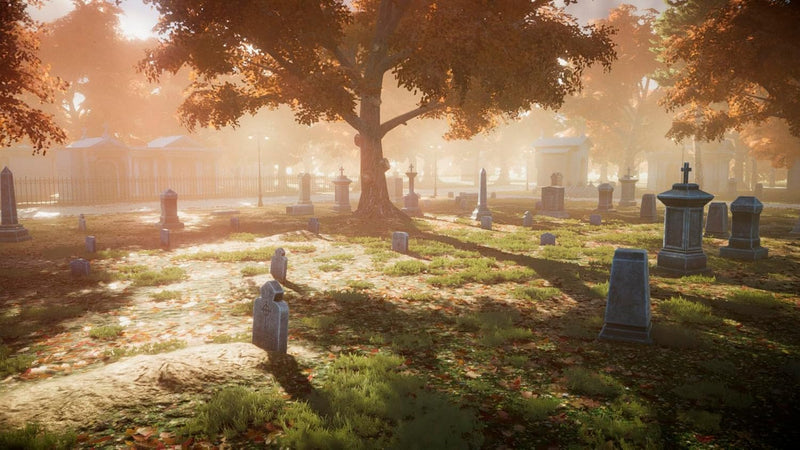 Blacksad : Under the Skin [Xbox Series X] Xbox Series X Video Game Microids