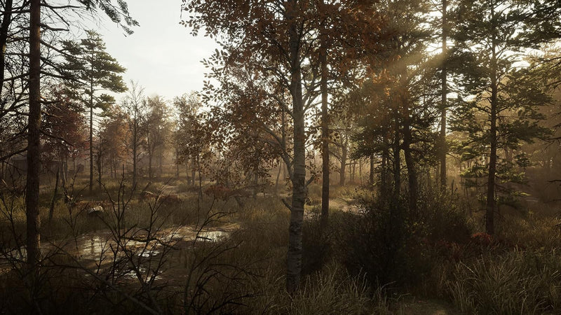 Chernobylite [PlayStation 5] PlayStation 5 Video Game Perp Games