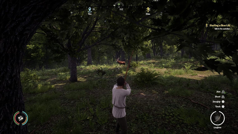 Medieval Dynasty [PlayStation 5] Playstation 5 Video Game Merge Games