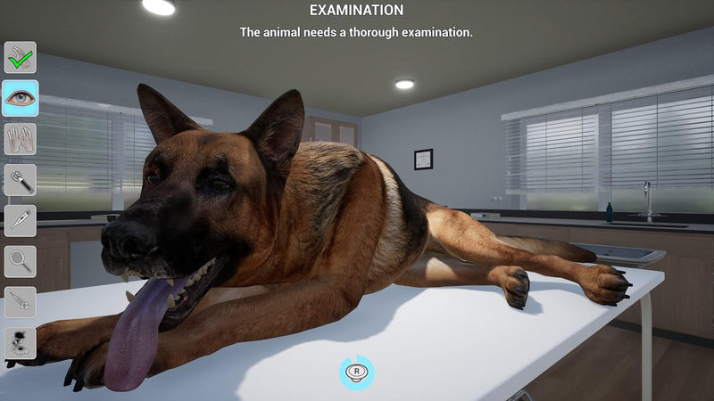 My Life: Pet Vet [PlayStation 5] PlayStation 5 Video Game Mindscape
