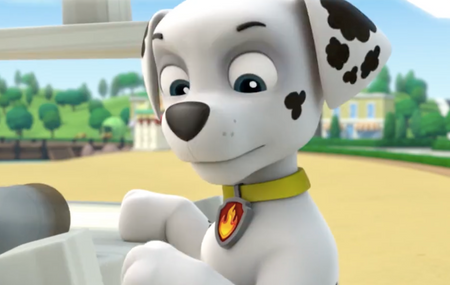 PAW Patrol: Animal Adventures [DVD] DVDs & Blu-Rays Elevation Pictures