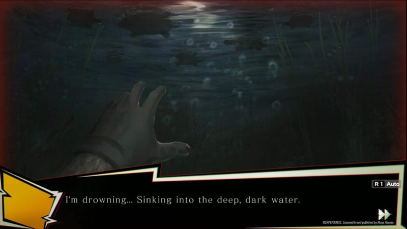 Spirit Hunter: NG [Nintendo Switch] Nintendo Switch Video Game Aksys Games