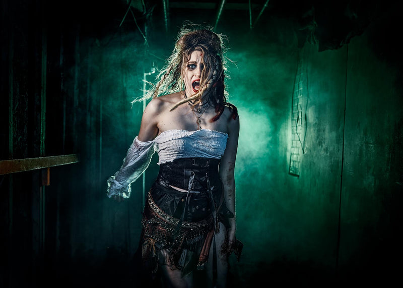 Terrifier 2 - Collector’s Edition [Blu-Ray] Blu-Ray Movie Cinedigm