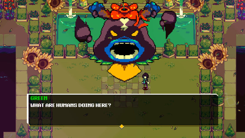 Anuchard - Retro Edition - Premium Edition Games #18 [Nintendo Switch] Nintendo Switch Video Game Premium Edition Games