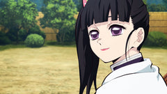 Demon Slayer: Kimetsu no Yaiba Volume 2 - Limited Edition [Blu-Ray] Blu-Ray Box Set / Series Aniplex of America