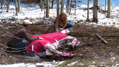 Heartland: The Complete Third Season [DVD Box Set] DVDs & Blu-Rays E1 Entertainment