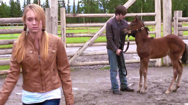 Heartland: The Complete Third Season [DVD Box Set] DVDs & Blu-Rays E1 Entertainment