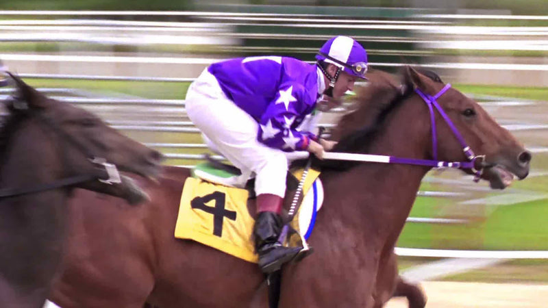 Heartland: The Complete Third Season [DVD Box Set] DVDs & Blu-Rays E1 Entertainment