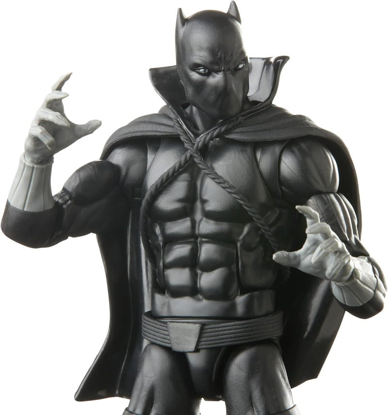 Marvel Legends Series: Black Panther - Black Panther 6-Inch Action Figure Toys & Games Hasbro
