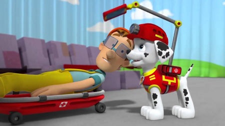 PAW Patrol: Pups Save the Show [DVD] DVDs & Blu-Rays Elevation Pictures