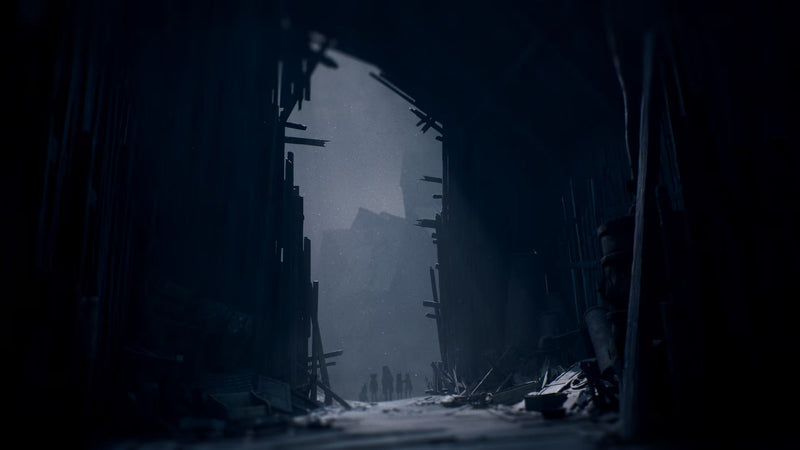 REANIMAL - Standard Edition [Nintendo Switch 2] Nintendo Switch 2 Video Game THQ Nordic