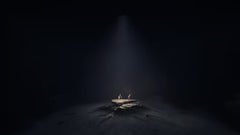 REANIMAL - Collector's Edition [PlayStation 5] PlayStation 5 Video Game THQ Nordic