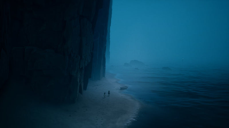 REANIMAL - Standard Edition [PlayStation 5] PlayStation 5 Video Game THQ Nordic