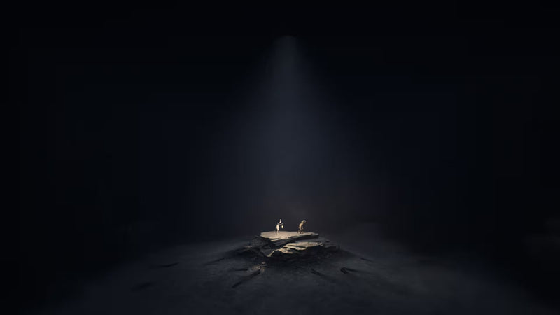 REANIMAL - Standard Edition [PlayStation 5] PlayStation 5 Video Game THQ Nordic