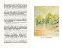 The Lord of the Rings - Deluxe Single-Volume Illustrated Edition [Hardcover Book] Book HarperCollins